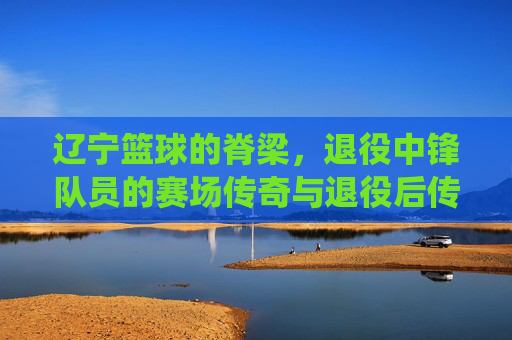 辽宁篮球的脊梁,退役中锋队员的赛场传奇与退役后传承,辽宁篮球的脊梁,退役中锋队员的赛场传奇与退役后传承