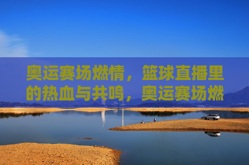 奥运赛场燃情，篮球直播里的热血与共鸣，奥运赛场燃情，篮球直播里的热血与共鸣