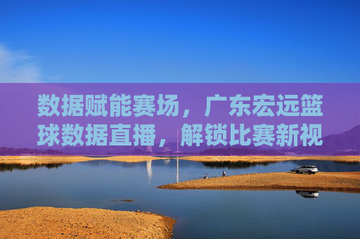 数据赋能赛场,广东宏远篮球数据直播,解锁比赛新视角,数据赋能赛场,广东宏远篮球数据直播,解锁比赛新视角