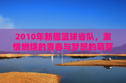 2010年新疆篮球省队,激情燃烧的青春与梦想的萌芽,2010新疆篮球省队,激情燃烧的青春与梦想萌芽