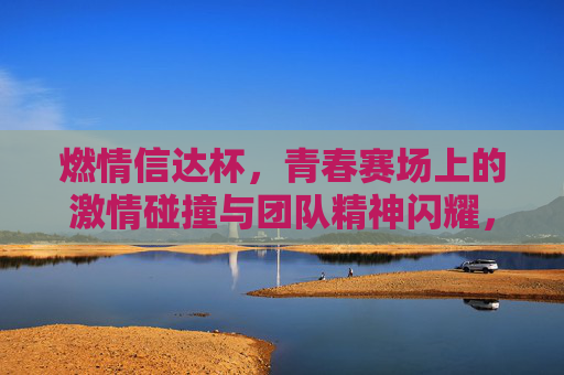 燃情信达杯，青春赛场上的激情碰撞与团队精神闪耀，燃情信达杯，青春赛场上的激情碰撞与团队精神闪耀