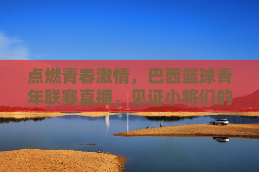 点燃青春激情，巴西篮球青年联赛直播，见证小将们的赛场绽放与未来希望，点燃青春激情，巴西篮球青年联赛直播，见证小将们的赛场绽放与未来希望