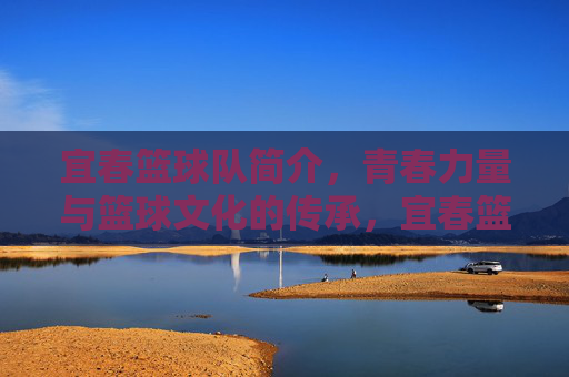 宜春篮球队简介，青春力量与篮球文化的传承，宜春篮球队简介，青春力量与篮球文化的传承