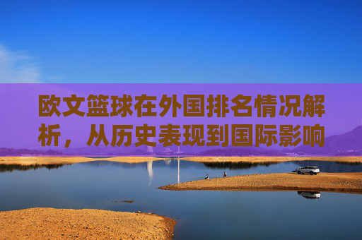 欧文篮球在外国排名情况解析,从历史表现到国际影响力