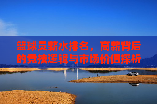 篮球员薪水排名,高薪背后的竞技逻辑与市场价值探析,篮球员薪水排名,竞技逻辑与市场价值的探析