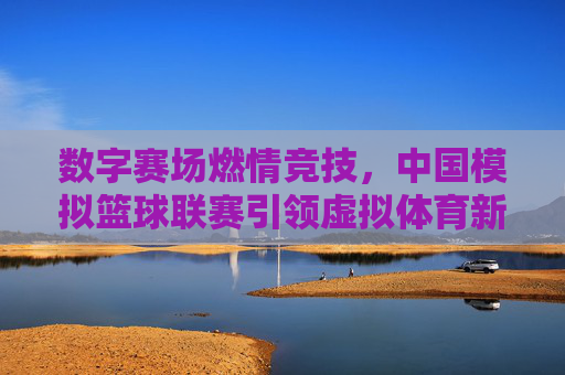 数字赛场燃情竞技,中国模拟篮球联赛引领虚拟体育新风尚——中国模拟篮球联赛深度解析,数字赛场燃情竞技,中国模拟篮球联赛引领虚拟体育新风尚——中国模拟篮球联赛深度解析