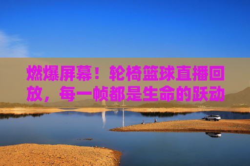 燃爆屏幕!轮椅篮球直播回放,每一帧都是生命的跃动与梦想的闪光,燃爆屏幕!轮椅篮球直播回放,每一帧都是生命的跃动与梦想的闪光