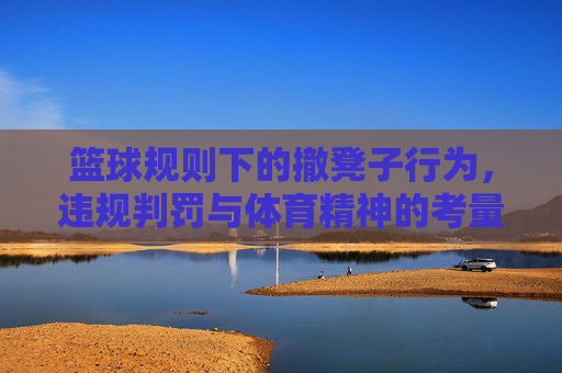 篮球规则下的撤凳子行为，违规判罚与体育精神的考量，篮球规则下撤凳子行为的违规判罚与体育精神的价值探讨