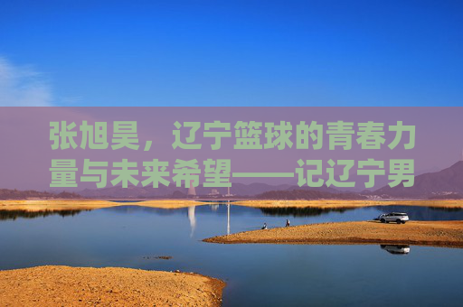 张旭昊，辽宁篮球的青春力量与未来希望——记辽宁男篮新生代球员的成长轨迹，张旭昊，辽宁篮球的青春力量与未来希望——记辽宁男篮新生代球员的成长轨迹