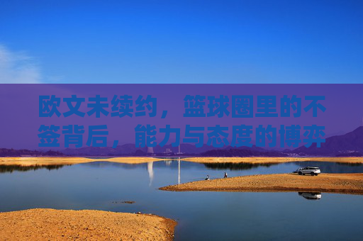 欧文未续约,篮球圈里的不签背后,能力与态度的博弈,欧文未续约,篮球圈里的不签背后,能力与态度的博弈