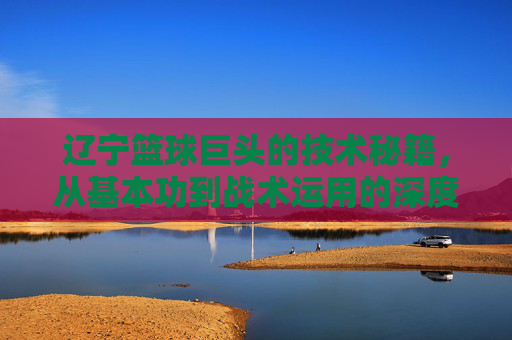辽宁篮球巨头的技术秘籍,从基本功到战术运用的深度解析,辽宁篮球巨头的技术秘籍,从基本功到战术运用的深度解析