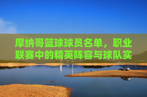 摩纳哥篮球球员名单,职业联赛中的精英阵容与球队实力解析