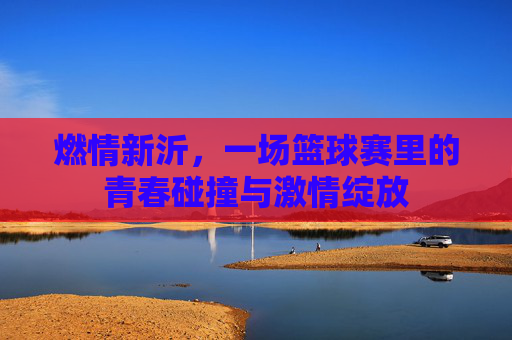 燃情新沂，一场篮球赛里的青春碰撞与激情绽放