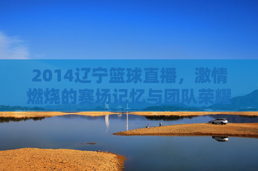 2014辽宁篮球直播，激情燃烧的赛场记忆与团队荣耀的见证
