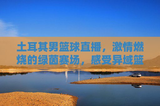 土耳其男篮球直播,激情燃烧的绿茵赛场,感受异域篮球的独特魅力