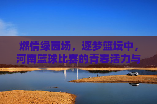 燃情绿茵场,逐梦篮坛中,河南篮球比赛的青春活力与拼搏精神