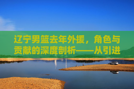 辽宁男篮去年外援，角色与贡献的深度剖析——从引进到融入的团队故事
