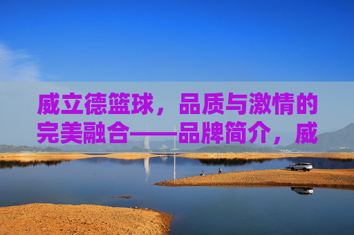 威立德篮球,品质与激情的完美融合——品牌简介,威立德篮球,品质与激情的完美融合——品牌简介
