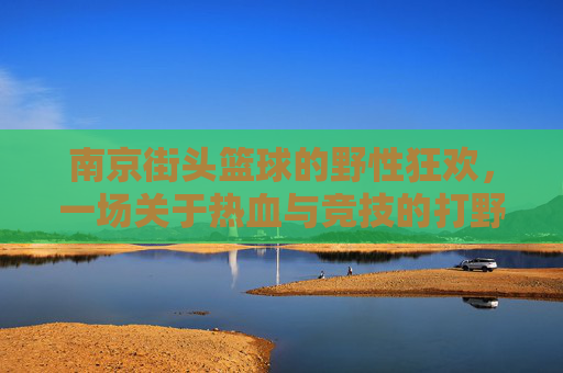 南京街头篮球的野性狂欢,一场关于热血与竞技的打野对决