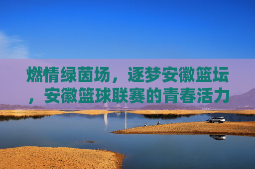 燃情绿茵场，逐梦安徽篮坛，安徽篮球联赛的青春活力与竞技魅力，燃情绿茵场，逐梦安徽篮坛，青春活力与竞技魅力
