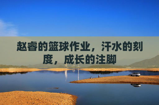 赵睿的篮球作业,汗水的刻度,成长的注脚