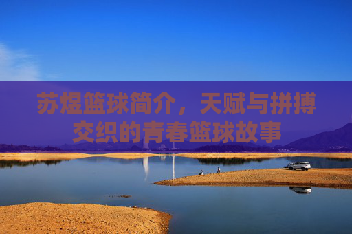 苏煜篮球简介,天赋与拼搏交织的青春篮球故事