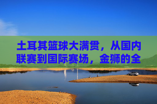 土耳其篮球大满贯,从国内联赛到国际赛场,金狮的全面统治力与时代印记,土耳其篮球大满贯,从国内联赛到国际赛场,金狮的全面统治力与时代印记