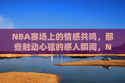 NBA赛场上的情感共鸣，那些触动心弦的感人瞬间，NBA赛场上的情感共鸣，那些触动心弦的感人瞬间
