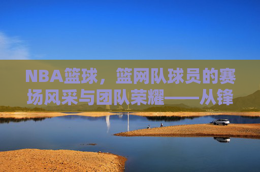 NBA篮球，篮网队球员的赛场风采与团队荣耀——从锋线尖刀到内线支柱的竞技故事，NBA篮球，篮网队球员的赛场风采与团队荣耀——从锋线尖刀到内线支柱的竞技故事