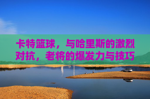 卡特篮球,与哈里斯的激烈对抗,老将的爆发力与技巧的完美碰撞,卡特与哈里斯激烈对抗,老将爆发力与技巧的完美碰撞