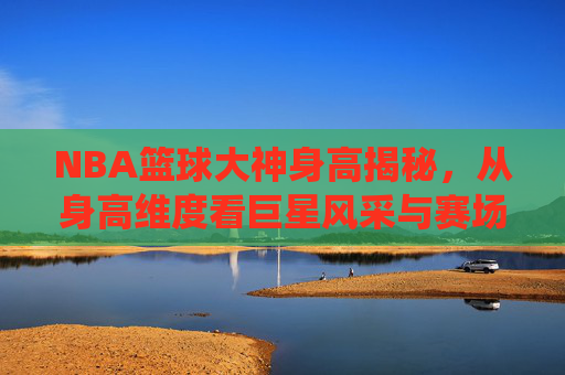 NBA篮球大神身高揭秘,从身高维度看巨星风采与赛场统治力,NBA篮球大神身高揭秘,从身高维度看巨星风采与赛场统治力