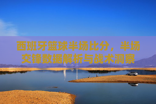 西班牙篮球半场比分,半场交锋数据解析与战术洞察
