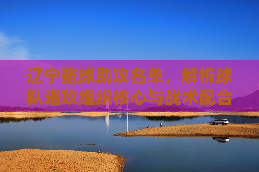 辽宁篮球助攻名单,解析球队进攻组织核心与战术配合,辽宁男篮助攻榜解析,进攻组织核心与战术配合揭秘