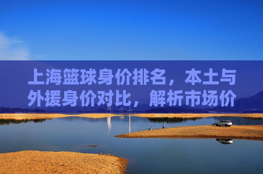 上海篮球身价排名，本土与外援身价对比，解析市场价值与球员发展，上海篮球身价排名，本土与外援身价对比，市场价值及球员发展解析