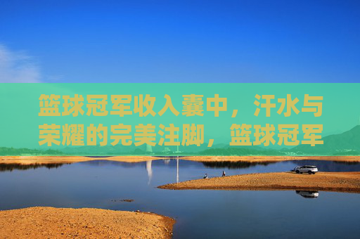 篮球冠军收入囊中，汗水与荣耀的完美注脚，篮球冠军收入囊中，汗水与荣耀的完美注脚