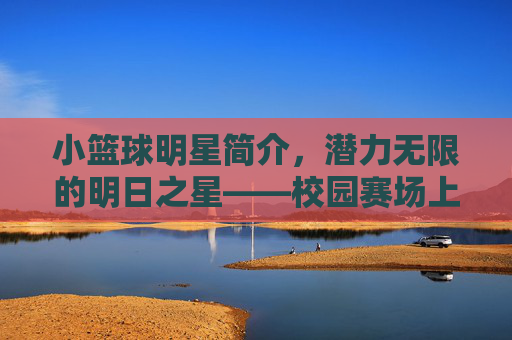 小篮球明星简介,潜力无限的明日之星——校园赛场上的小小传奇,小篮球明星简介,潜力无限的明日之星——校园赛场上的小小传奇