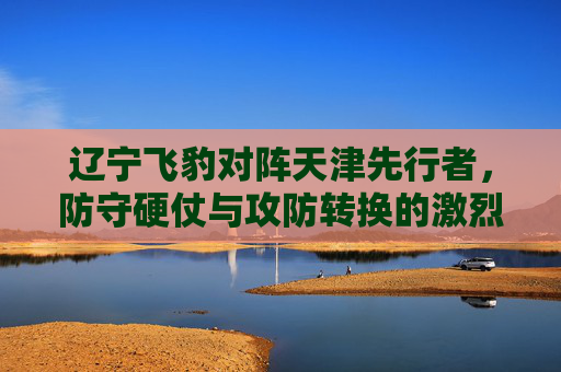 辽宁飞豹对阵天津先行者,防守硬仗与攻防转换的激烈博弈,辽宁飞豹对阵天津先行者,防守硬仗与攻防转换的激烈博弈