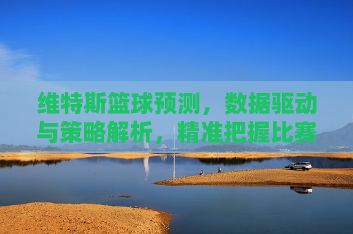 维特斯篮球预测,数据驱动与策略解析,精准把握比赛走向,维特斯篮球预测,数据驱动与策略解析,精准把握比赛走向
