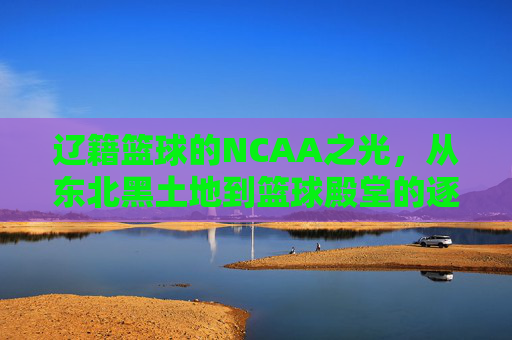 辽籍篮球的NCAA之光,从东北黑土地到篮球殿堂的逐梦之旅,辽籍篮球的NCAA之光,从东北黑土地到篮球殿堂的逐梦之旅