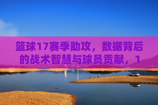 篮球17赛季助攻，数据背后的战术智慧与球员贡献，17赛季篮球助攻数据，战术智慧与球员贡献的深度解析