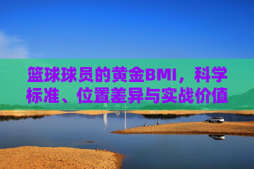 篮球球员的黄金BMI,科学标准、位置差异与实战价值解析,篮球球员的黄金BMI,科学标准、位置差异与实战价值解析