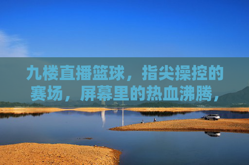 九楼直播篮球，指尖操控的赛场，屏幕里的热血沸腾，九楼直播篮球，指尖操控的赛场，屏幕里的热血沸腾