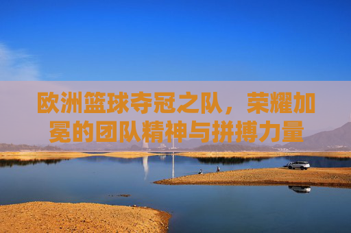 欧洲篮球夺冠之队,荣耀加冕的团队精神与拼搏力量