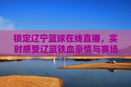 锁定辽宁篮球在线直播,实时感受辽篮铁血豪情与赛场激情的震撼瞬间,锁定辽宁篮球在线直播,实时感受辽篮铁血豪情与赛场激情的震撼瞬间