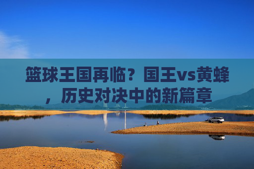 篮球王国再临?国王vs黄蜂,历史对决中的新篇章
