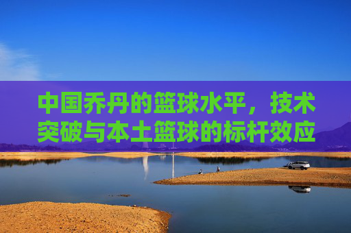 中国乔丹的篮球水平,技术突破与本土篮球的标杆效应