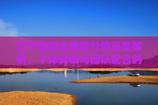 辽宁篮球出场得分的深度解析,个体突破与团队配合的平衡艺术