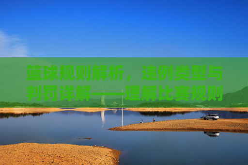 篮球规则解析，违例类型与判罚详解——理解比赛规则，提升竞技水平