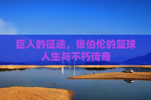 巨人的征途,张伯伦的篮球人生与不朽传奇