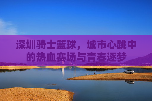 深圳骑士篮球，城市心跳中的热血赛场与青春逐梦